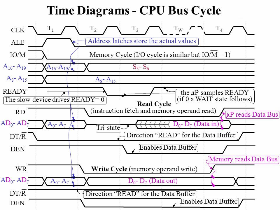 TimeDiagrams CPUBusCycle